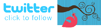 twitter FOLLOW